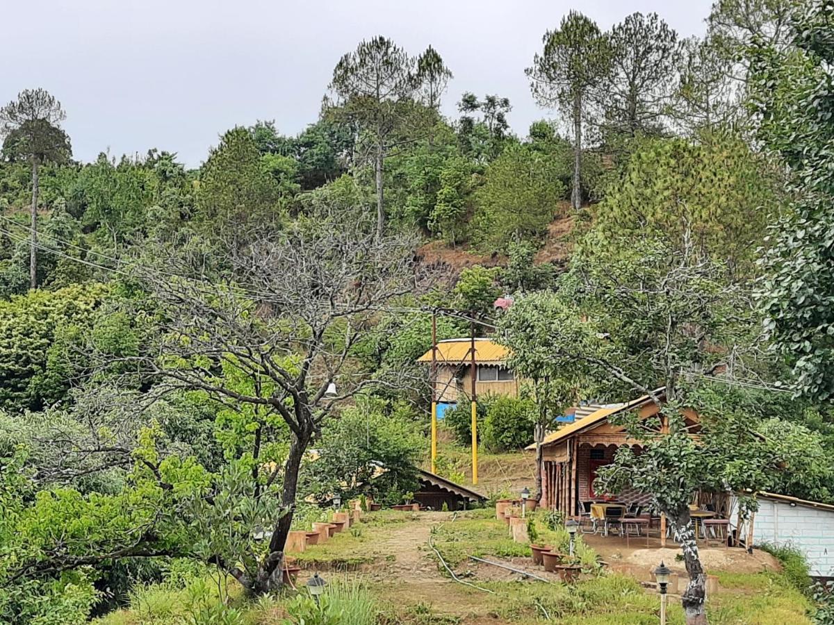 Mukteshwar Grand Retreat מוקטשוואר מראה חיצוני תמונה